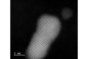 Platinum Nanoparticles deposited in the NL50 for catalysis research