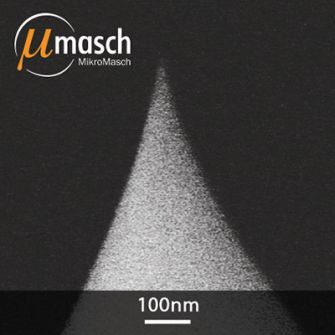 SEM image of the regular silicon tip
