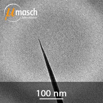 SEM image of the High Resolution spike