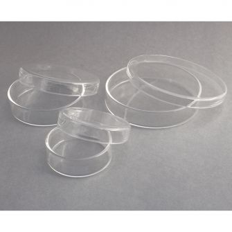 Glass Petri Dishes