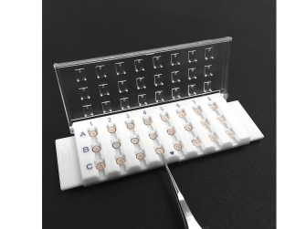 Horizontal Grid Box