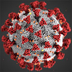 Image courtesy: CDC/Alissa Eckert, MS; Dan Higgins, MAMS