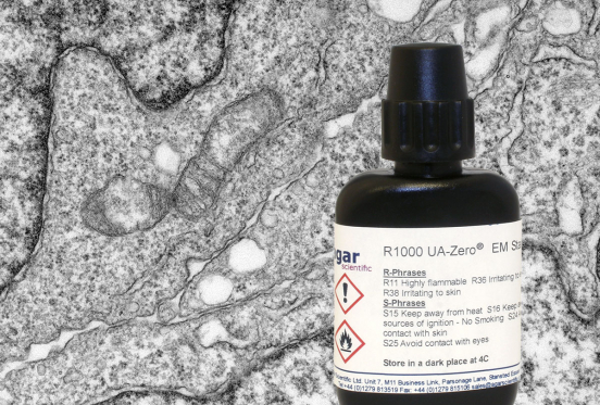 UA-Zero Application Fixation, staining & processing of HeLa* cell pellet from a culture dish