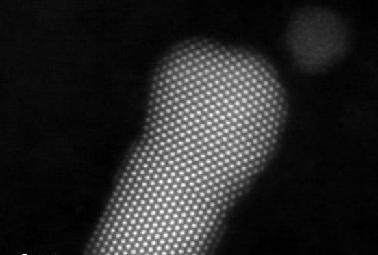 Platinum Nanoparticles deposited in the NL50 for catalysis research