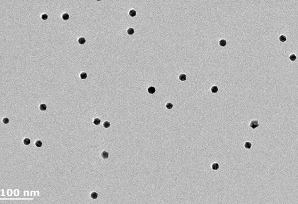 Deposition of Ultra-Pure gold nanoparticles in the NL50